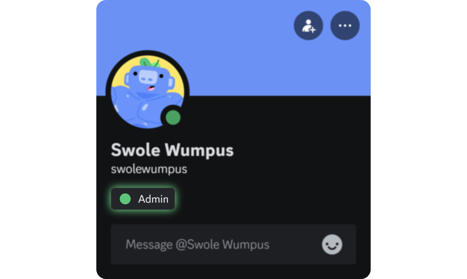 A Discord server profile with the Admin role